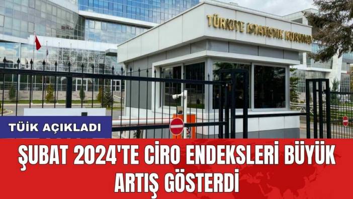 TÜİK Açıkladı: Şubat 2024'te Ciro Endeksleri Büyük Artış Gösterdi