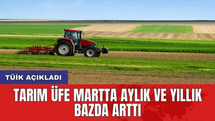 TÜİK Açıkladı: Tarım ÜFE martta aylık ve yıllık bazda arttı