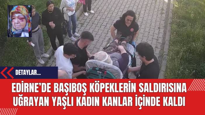 Edirne’de Başıboş Köpeklerin Saldırısına Uğrayan Yaşlı Kadın Kanlar İçinde Kaldı