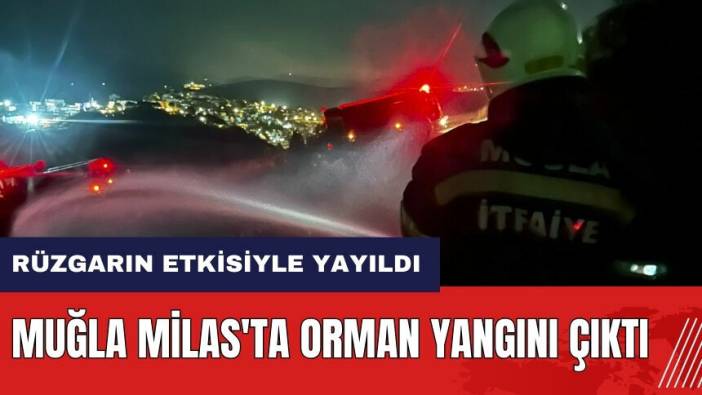 Muğla Milas'ta orman yangını çıktı! Rüzgarın etkisiyle yayıldı