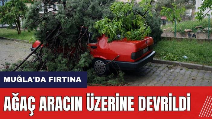 Muğla'da fırtına! Ağaç aracın üzerine devrildi