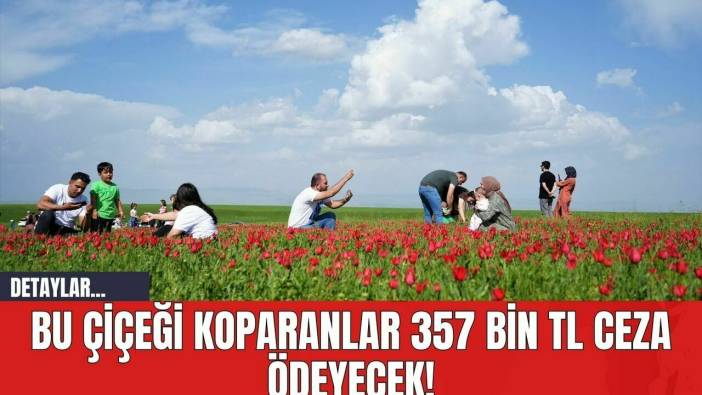 Bu Çiçeği Koparanlar 357 Bin TL Ceza Ödeyecek!