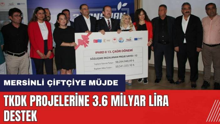 Mersin'de TKDK projelerine 3.6 milyar lira destek
