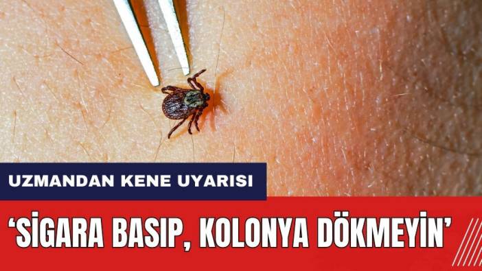 Uzmandan kene uyarısı: Sigara basıp, kolonya dökmeyin