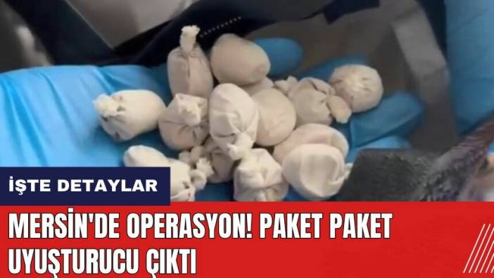 Mersin'de operasyon! Paket paket uyuşt*rucu çıktı
