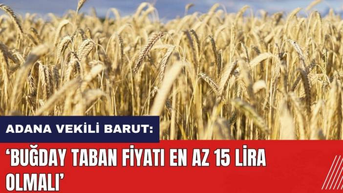 Adana Vekili Barut: Buğday taban fiyatı en az 15 lira olmalı