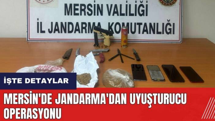 Mersin'de Jandarma'dan uyuştur*cu operasyonu