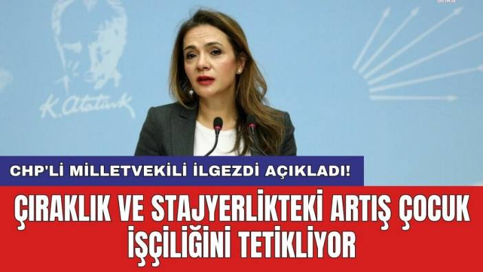 CHP'li Milletvekili İlgezdi: Çıraklık ve stajyerlikteki artış çocuk işçiliğini tetikliyor