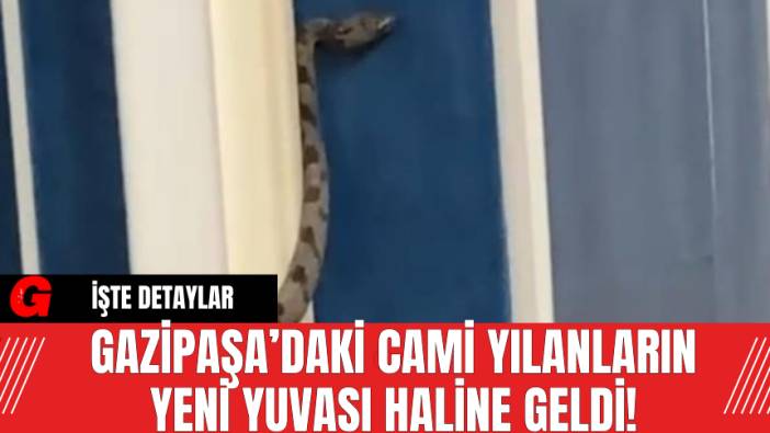 Gazipaşa’daki Cami Yılanların Yeni Yuvası Haline Geldi!