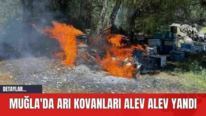 Muğla'da Arı Kovanları Alev Alev Yandı