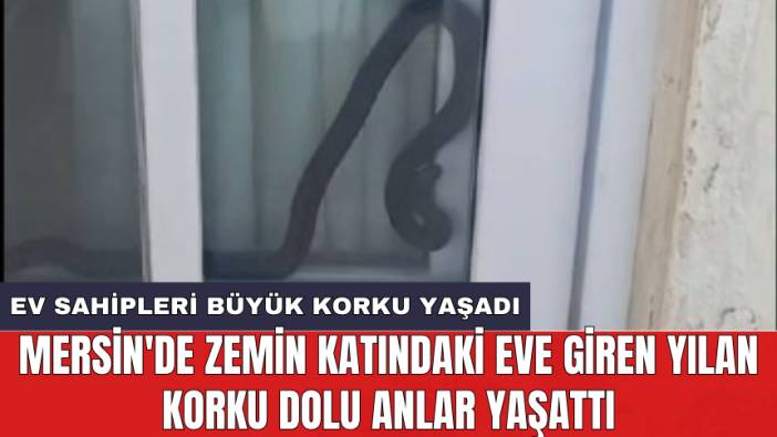 Mersin'de zemin katındaki eve giren yılan korku dolu anlar yaşattı