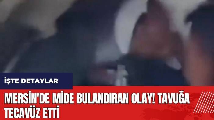 Mersin'de mide bulandıran olay! Tavuğa tecav*z etti