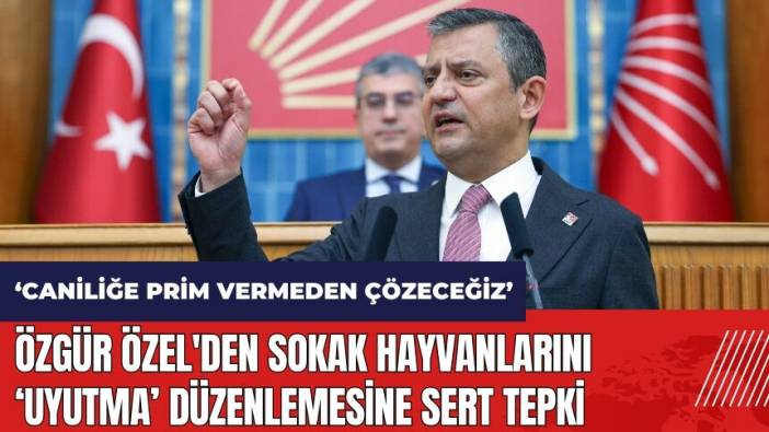 Özgür Özel'den sokak hayvanları düzenlemesine sert tepki: Caniliğe prim vermeden çözeceğiz