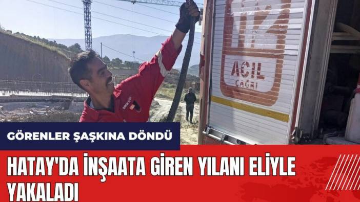 Hatay'da inşaata giren yılanı eliyle yakaladı