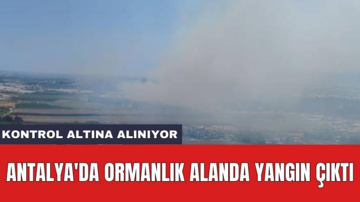 Antalya'da ormanlık alanda yangın çıktı