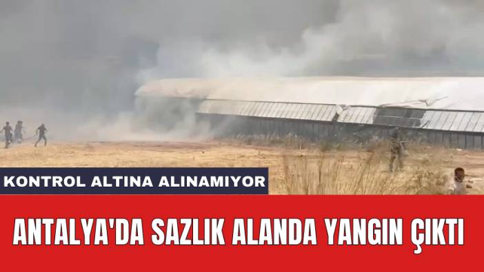 Antalya'da sazlık alanda yangın çıktı: Kontrol altına alınamıyor