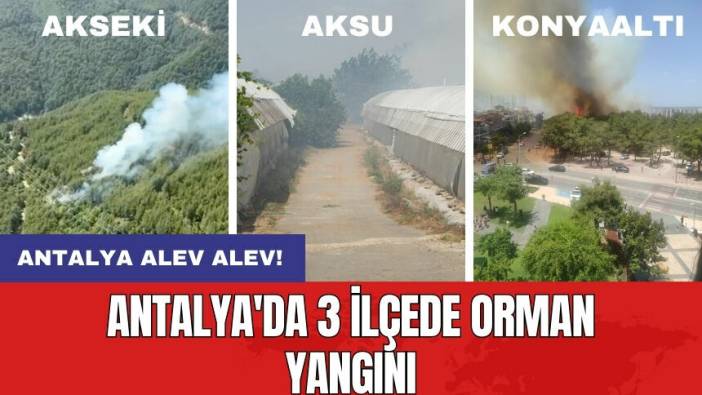 Antalya alev alev! Antalya'da 3 ilçede orman yangını!