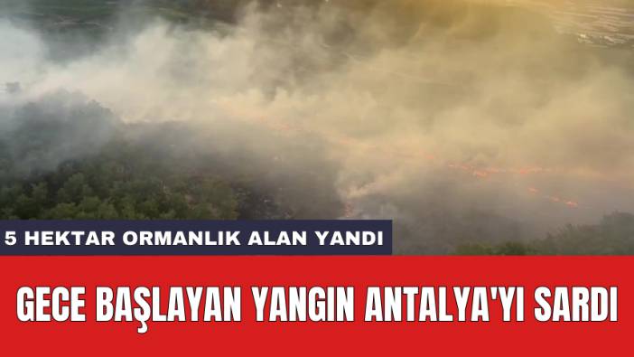 Gece başlayan yangın Antalya'yı sardı