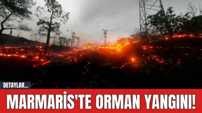 Marmaris'te Orman Yangını!