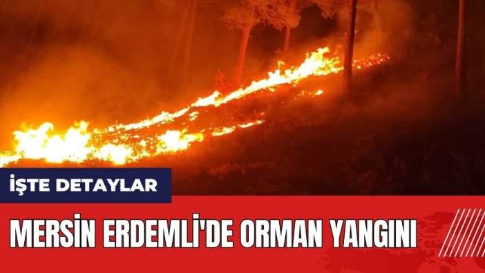 Mersin Erdemli'de orman yangını