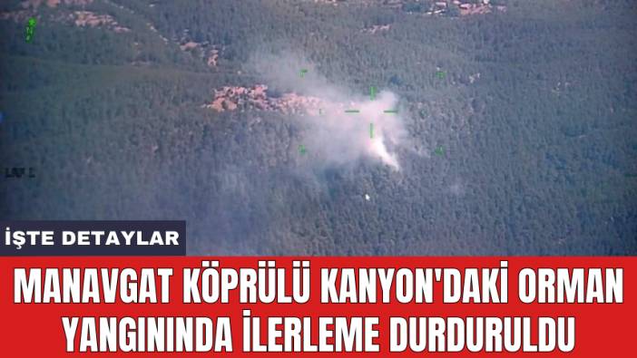 Manavgat Köprülü Kanyon'daki orman yangınında ilerleme durduruldu