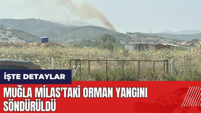 Muğla Milas'taki orman yangını söndürüldü