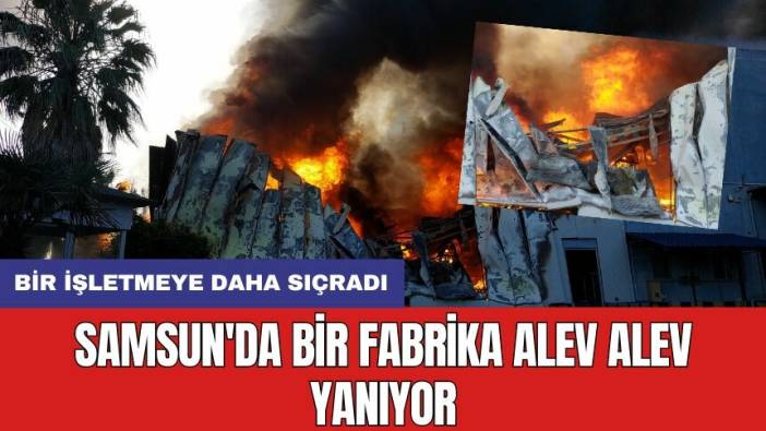 Samsun'da bir fabrika alev alev yanıyor