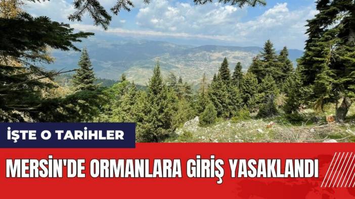 Mersin'de ormanlara giriş yasaklandı