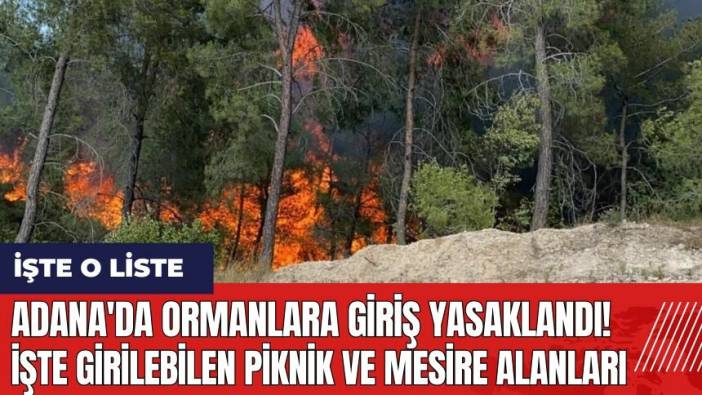 Adana'da ormanlara giriş yasaklandı! İşte girilebilen piknik ve mesire alanları