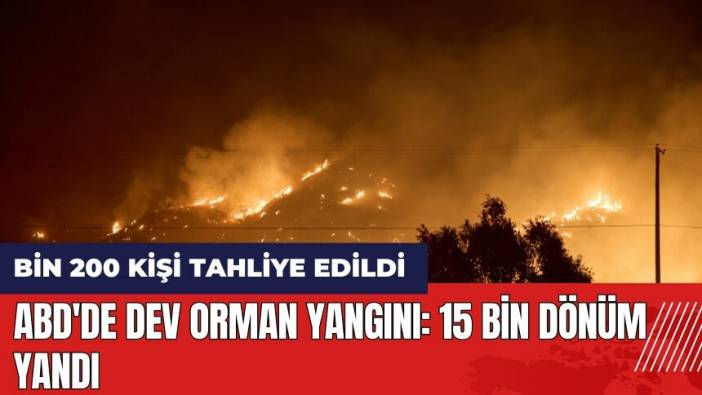 ABD'de dev orman yangını: 15 bin dönüm yandı! Bin 200 kişi tahliye edildi