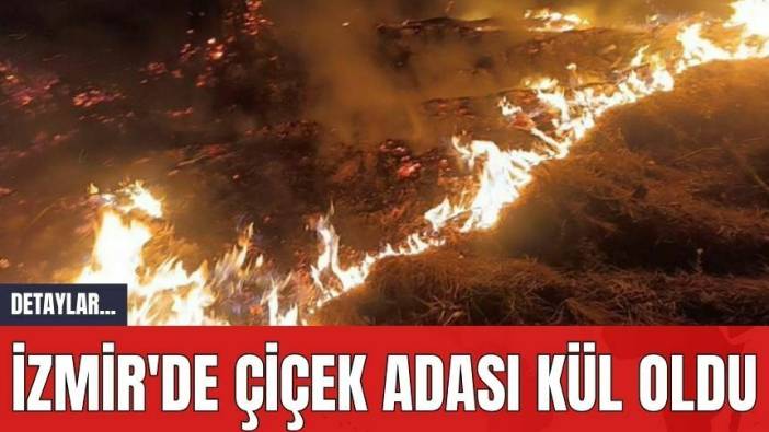 İzmir'de Çiçek Adası Kül Oldu