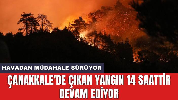Çanakkale'de çıkan yangın 14 saattir devam ediyor