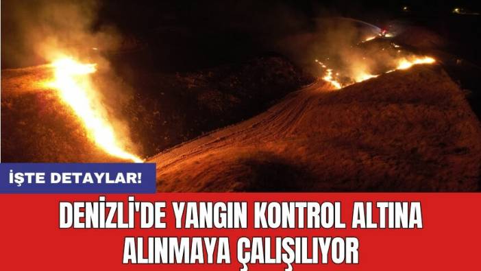 Denizli'de yangın kontrol altına alınmaya çalışılıyor