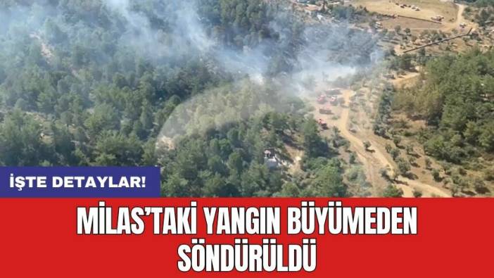 Milas’taki yangın büyümeden söndürüldü
