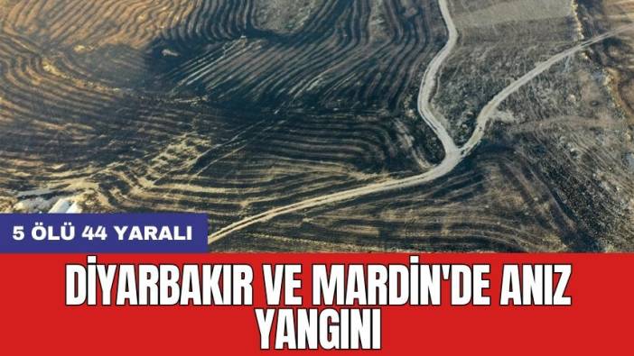 Diyarbakır ve Mardin'de anız yangını: 5 ölü 44 yaralı