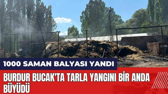 Burdur Bucak'ta tarla yangını bin saman balyasını kül etti