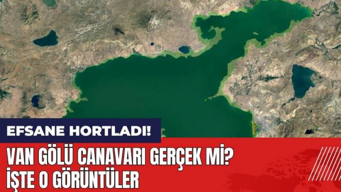 Van Gölü Canavarı gerçek mi? Efsane hortladı! İşte o görüntüler