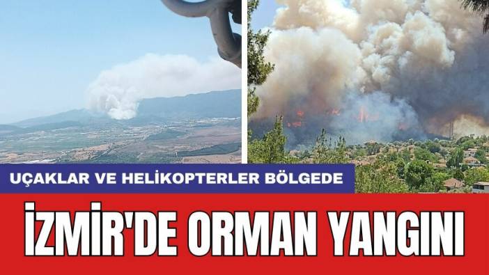 İzmir'de orman yangını: Uçaklar ve helikopterler bölgede