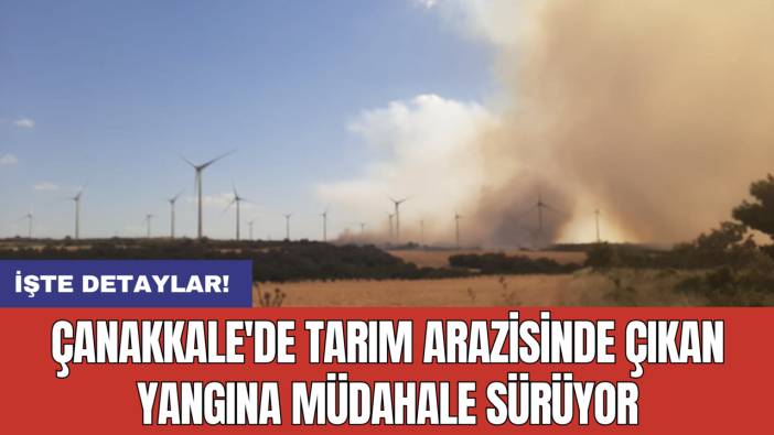 Çanakkale'de tarım arazisinde yangın