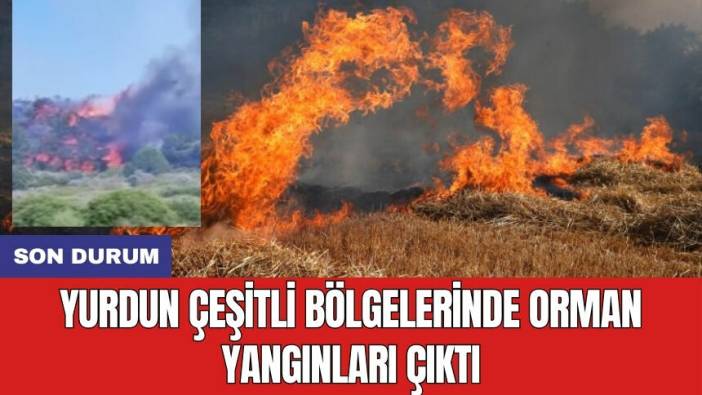 Son durum: Yurdun çeşitli bölgelerinde orman yangınları çıktı