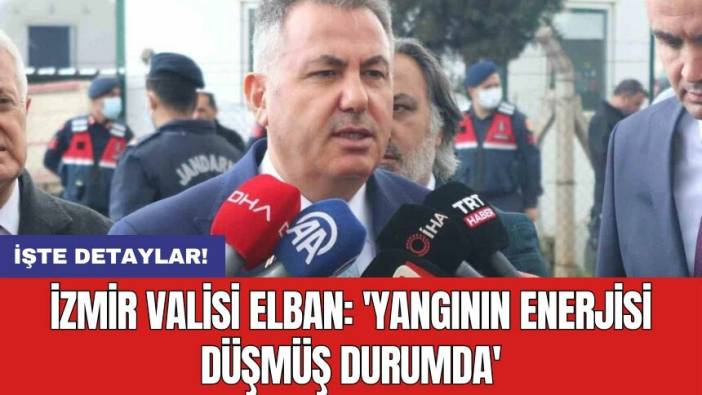İzmir Valisi Elban: 'Yangının enerjisi düşmüş durumda'