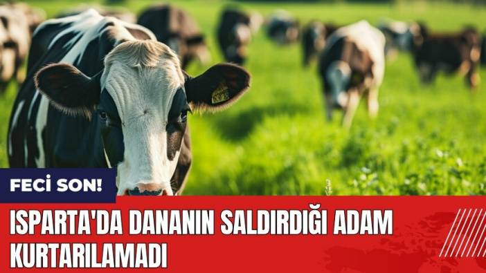 Isparta'da dananın saldırdığı adam kurtarılamadı