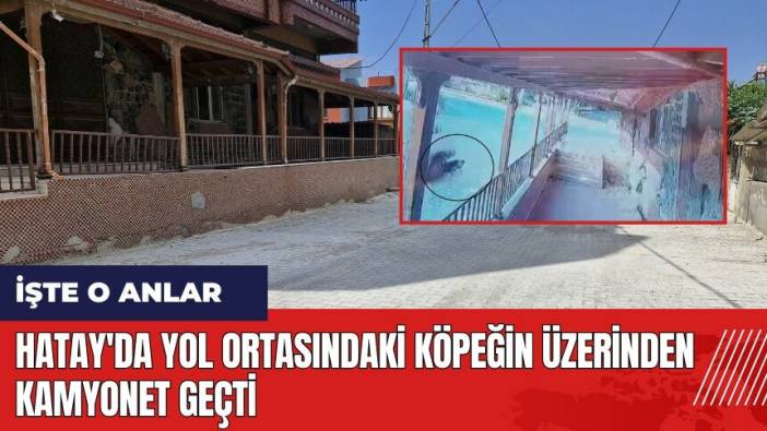 Hatay'da yol ortasındaki köpeğin üzerinden kamyonet geçti