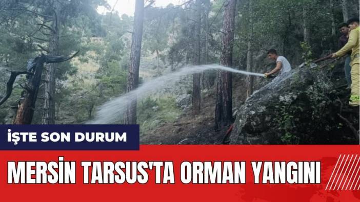Mersin Tarsus'ta orman yangını