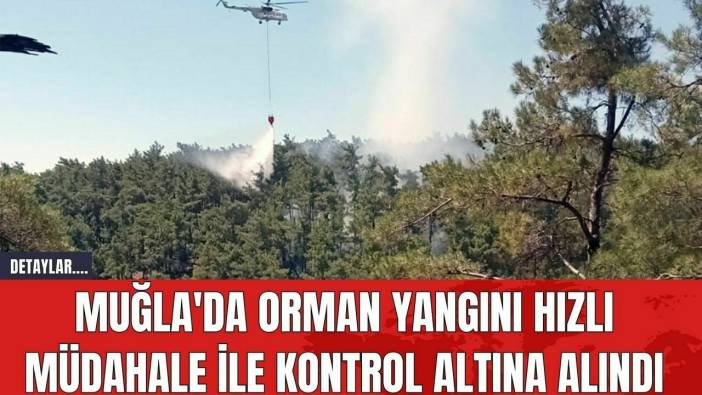 Muğla'da Orman Yangını Hızlı Müdahale İle Kontrol Altına Alındı