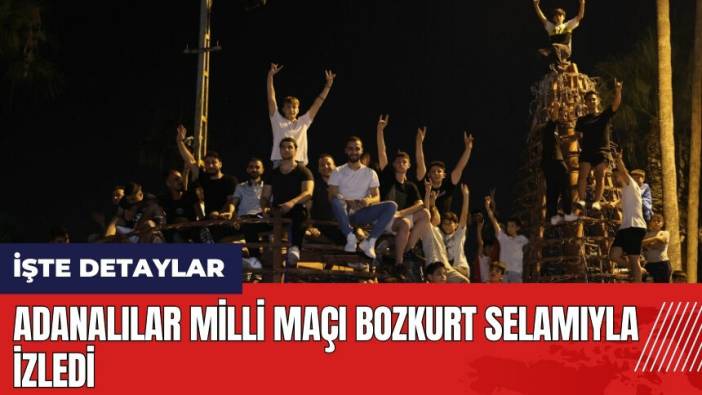 Adanalılar Milli maçı bozkurt selamıyla izledi