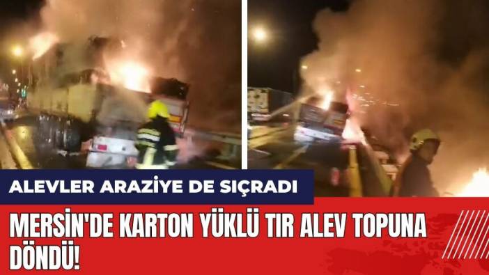 Mersin'de karton yüklü tır alev topuna döndü! Alevler araziye de sıçradı