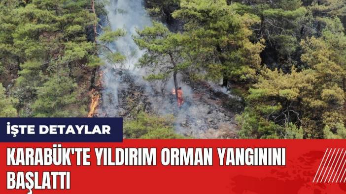 Karabük'te yıldırım orman yangınını başlattı