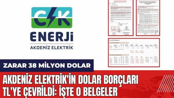 Akdeniz Elektrik'in dolar borçları TL'ye çevrildi: Zarar 38 milyon dolar