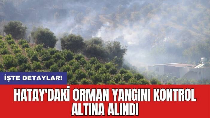 Hatay'daki orman yangını kontrol altına alındı